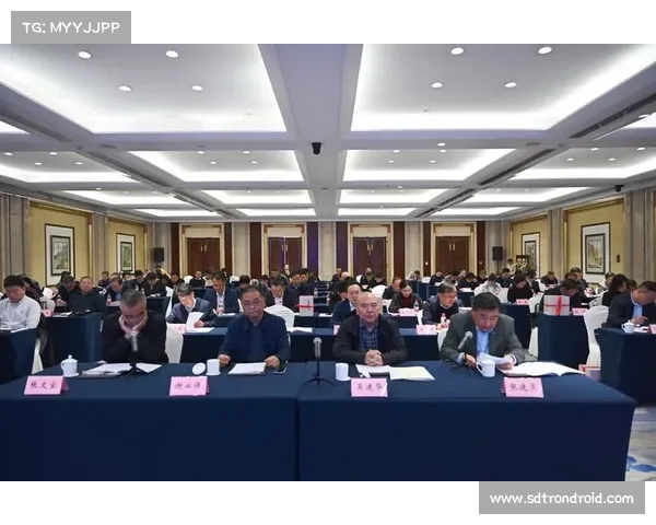 历史长河中的社会变迁与文化交流路径探索及其影响分析 历史长河中的社会变迁与文化交流路径探索及其影响分析